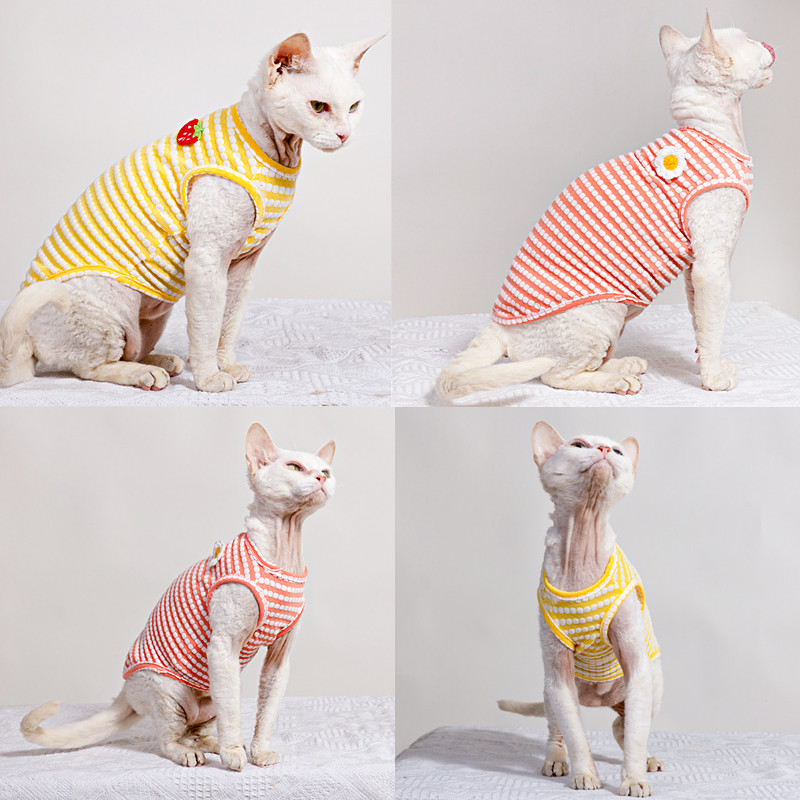 Soft Summer Yellow Clothing - 스핑크스 고양이 의류를위한 여름 티셔츠 부드러운