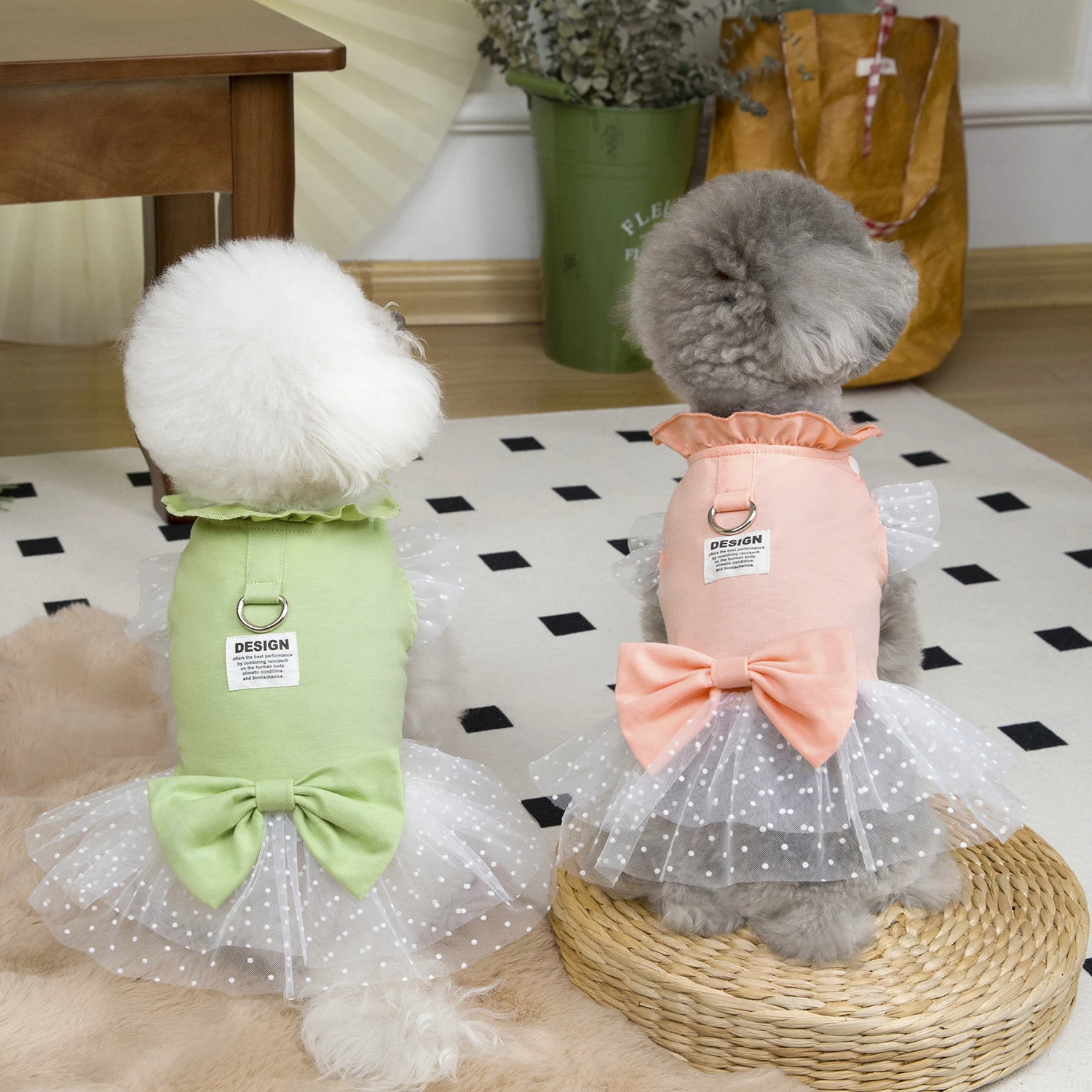 귀여운 강아지 여름 드레스 고양이 레이스 스커트 애완  - Summer Loving Clothing 리뷰 및 가격