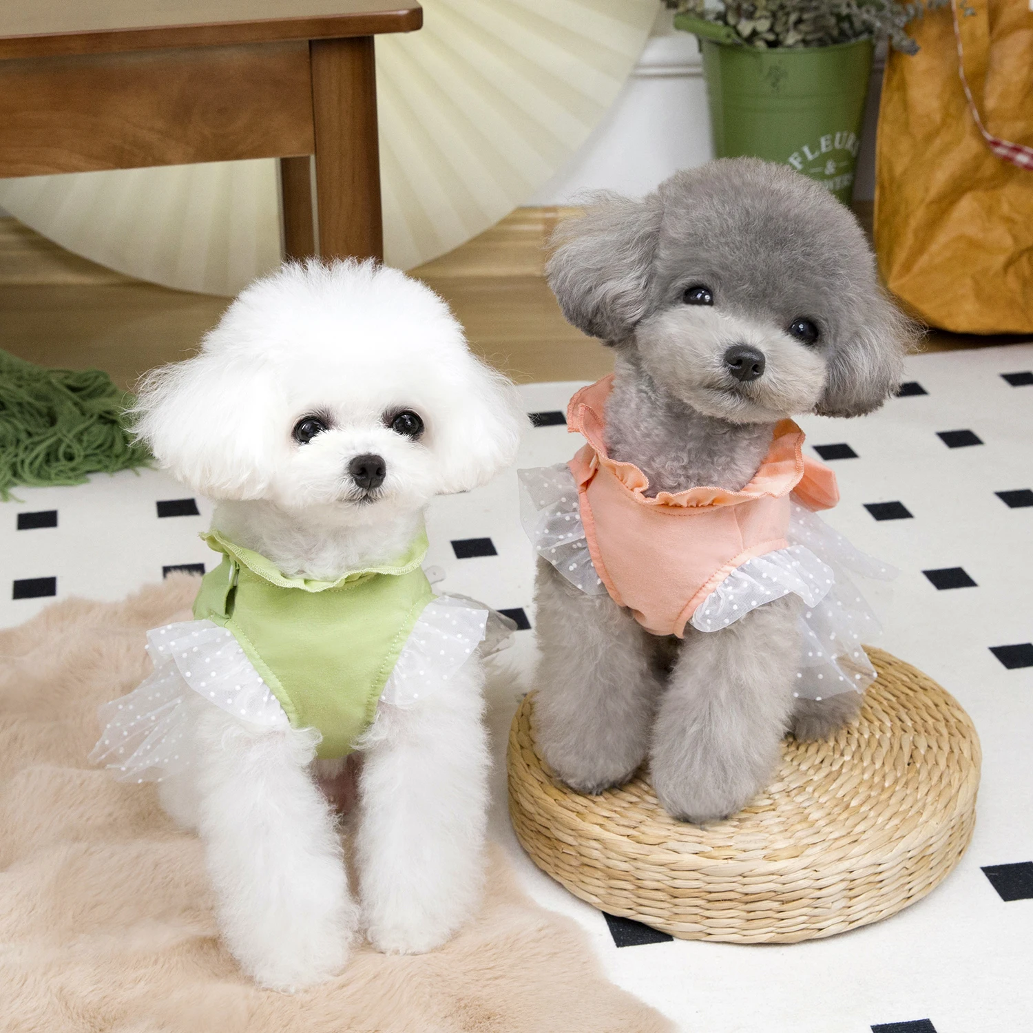 귀여운 강아지 여름 드레스 고양이 레이스 스커트 애완  - Summer Loving Clothing 리뷰 및 가격