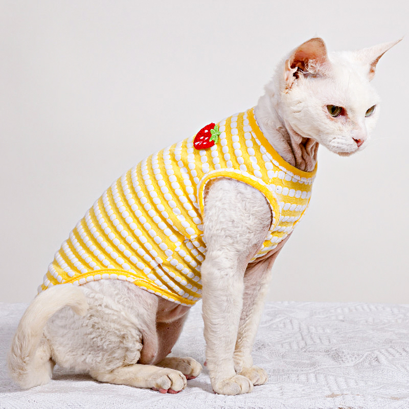 스핑크스 고양이 의류를위한 여름 티셔츠 부드러운 반팔  - Soft Summer Yellow Clothing 리뷰 및 가격