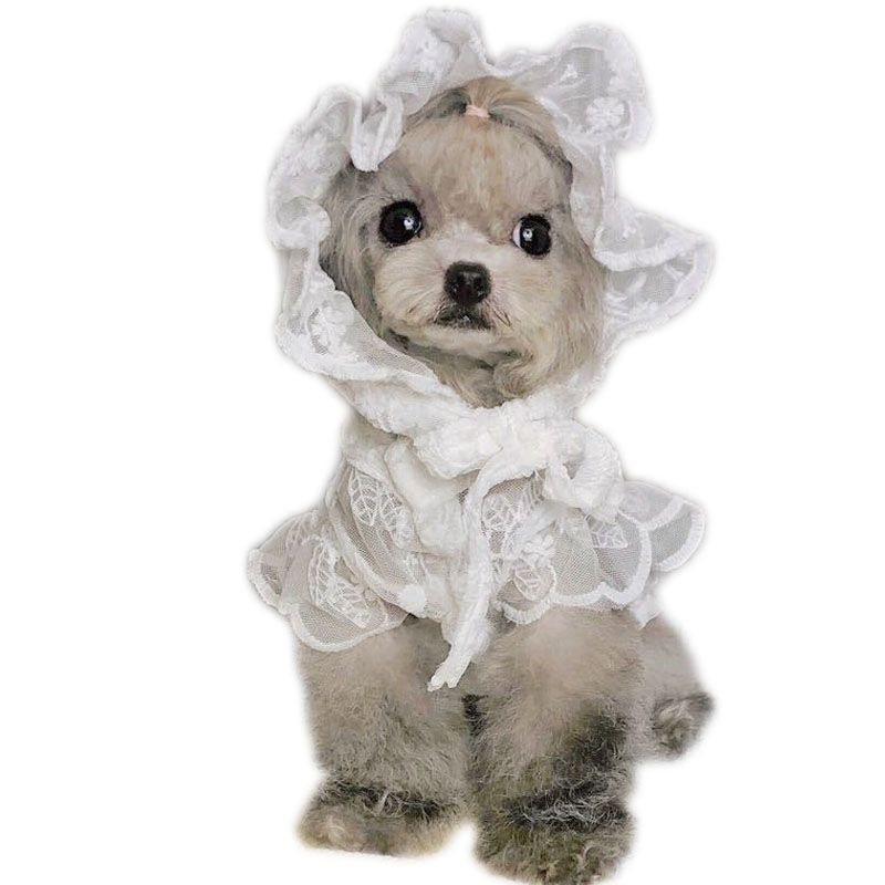 흰색 레이스 공주 개 잡초 드레스 고양이 개 옷을위한  - Xl Summer Clothing 리뷰 및 가격